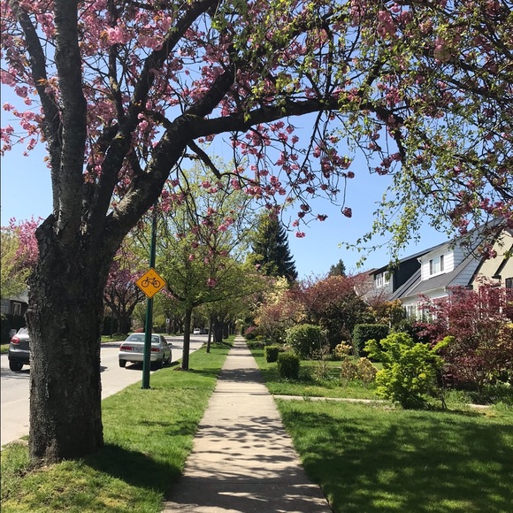 Meet your Posher, Andrea - Picture 14 of 15